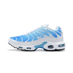 Air Max Plus Tn Men Sports Shoes Blue White 852630-411