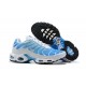 Air Max Plus Tn Men Sports Shoes Blue White 852630-411