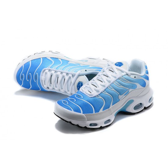 Air Max Plus Tn Men Sports Shoes Blue White 852630-411