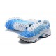 Air Max Plus Tn Men Sports Shoes Blue White 852630-411