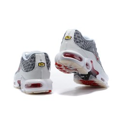 Air Max Plus Tn Men Sports Shoes Grey and White