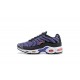 Air Max Plus Tn Men Sports Shoes Purple Black CD0609-024