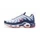 Air Max Plus Tn Men Sports Shoes QS White Blue and Red