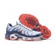 Air Max Plus Tn Men Sports Shoes QS White Blue and Red