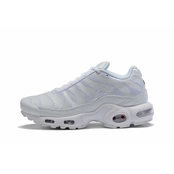 Air Max Plus Tn Men Sports Shoes SE White AJ2029-100