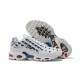 Air Max Plus Tn Men Sports Shoes White Blue CI9103-100