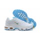 Air Max Plus Tn Men Sports Shoes White Blue